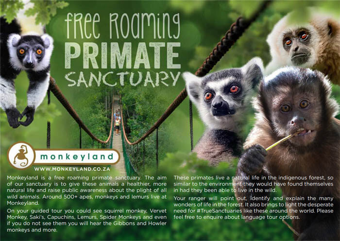 Receive a Monkeyland Primate Sanctuary E-Brochure with rates and more