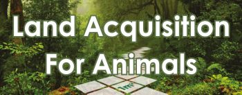 Land Acquisition