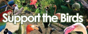 Support the Birds
